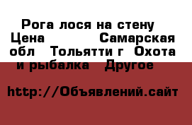  Рога лося на стену › Цена ­ 1 000 - Самарская обл., Тольятти г. Охота и рыбалка » Другое   